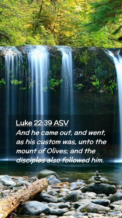 Picture 02 - Luke 22:39 ASV Mobile Phone Wallpaper - And he came out, and went, as his custom was, - Mobile Bible Verse Wallpaper