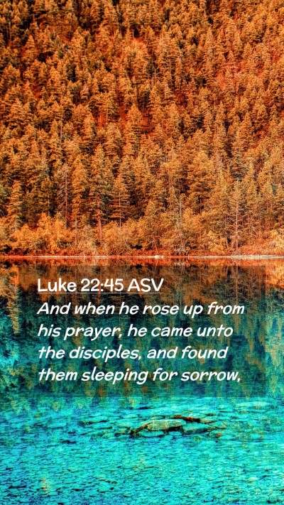 Picture 02 - Luke 22:45 ASV Mobile Phone Wallpaper - And when he rose up from his prayer, he came unto - Mobile Bible Verse Wallpaper