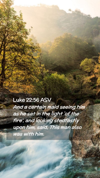 Picture 02 - Luke 22:56 ASV Mobile Phone Wallpaper - And a certain maid seeing him as he sat in the - Mobile Bible Verse Wallpaper