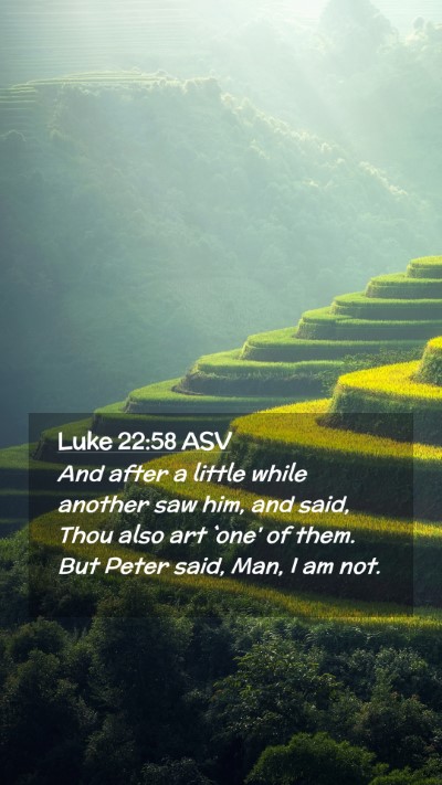 Picture 02 - Luke 22:58 ASV Mobile Phone Wallpaper - And after a little while another saw him, and - Mobile Bible Verse Wallpaper