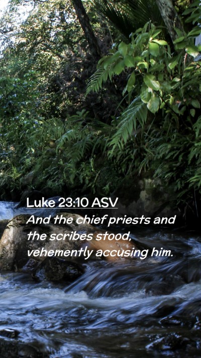 Picture 02 - Luke 23:10 ASV Mobile Phone Wallpaper - And the chief priests and the scribes stood, - Mobile Bible Verse Wallpaper