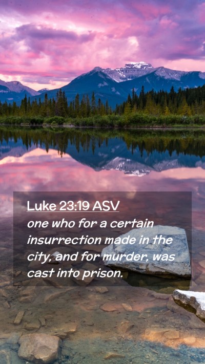 Picture 02 - Luke 23:19 ASV Mobile Phone Wallpaper - one who for a certain insurrection made in the - Mobile Bible Verse Wallpaper