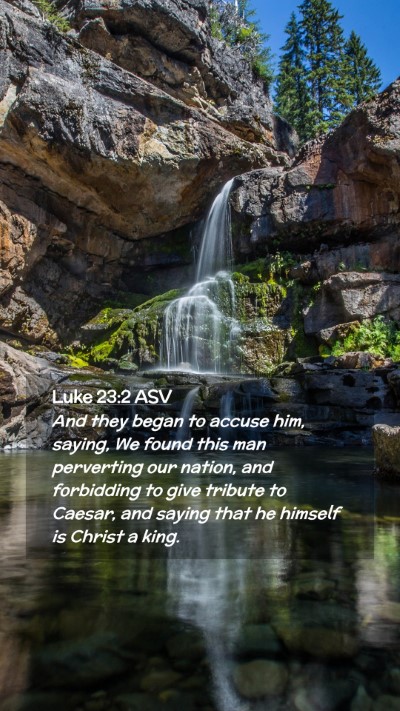 Picture 02 - Luke 23:2 ASV Mobile Phone Wallpaper - And they began to accuse him, saying, We found - Mobile Bible Verse Wallpaper