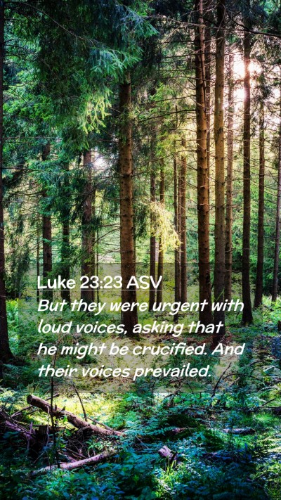 Picture 02 - Luke 23:23 ASV Mobile Phone Wallpaper - But they were urgent with loud voices, asking - Mobile Bible Verse Wallpaper