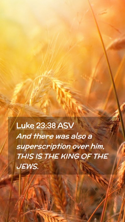 Picture 02 - Luke 23:38 ASV Mobile Phone Wallpaper - And there was also a superscription over him, - Mobile Bible Verse Wallpaper