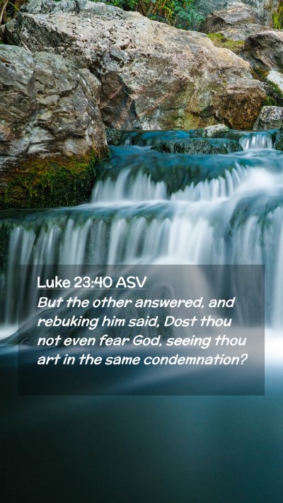 Picture 02 - Luke 23:40 ASV Mobile Phone Wallpaper - But the other answered, and rebuking him said, - Mobile Bible Verse Wallpaper