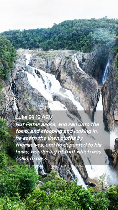 Picture 02 - Luke 24:12 ASV Mobile Phone Wallpaper - But Peter arose, and ran unto the tomb; and - Mobile Bible Verse Wallpaper