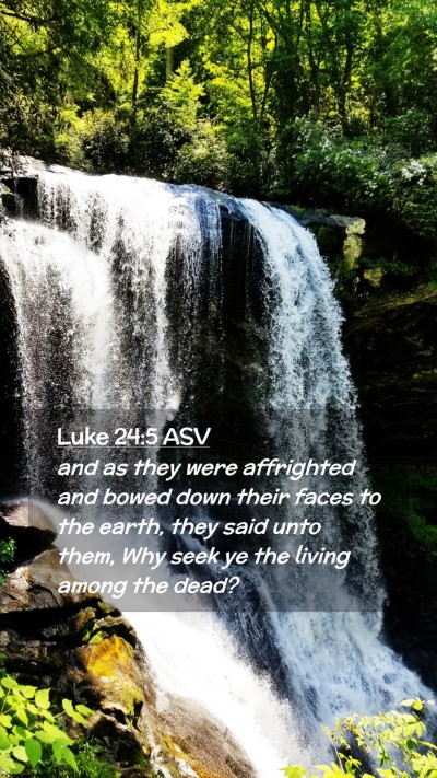 Picture 02 - Luke 24:5 ASV Mobile Phone Wallpaper - and as they were affrighted and bowed down their - Mobile Bible Verse Wallpaper