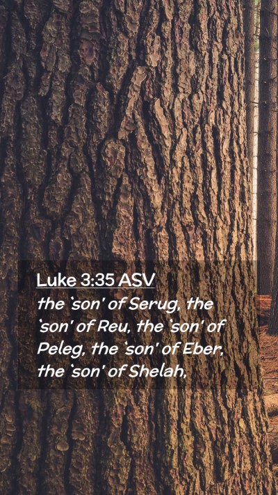 Picture 02 - Luke 3:35 ASV Mobile Phone Wallpaper - the `son' of Serug, the `son' of Reu, the `son' - Mobile Bible Verse Wallpaper