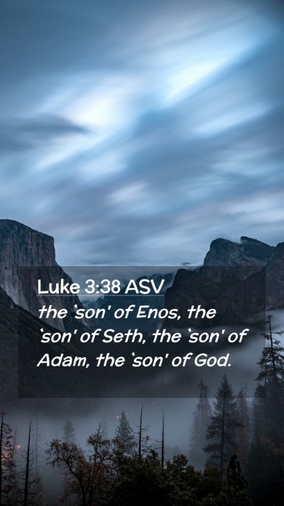 Picture 02 - Luke 3:38 ASV Mobile Phone Wallpaper - the `son' of Enos, the `son' of Seth, the `son' - Mobile Bible Verse Wallpaper
