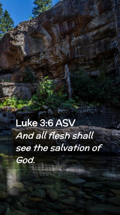 Picture 02 - Luke 3:6 ASV Mobile Phone Wallpaper - And all flesh shall see the salvation of - Mobile Bible Verse Wallpaper