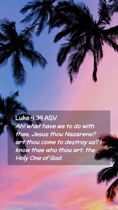 Picture 02 - Luke 4:34 ASV Mobile Phone Wallpaper - Ah! what have we to do with thee, Jesus thou - Mobile Bible Verse Wallpaper