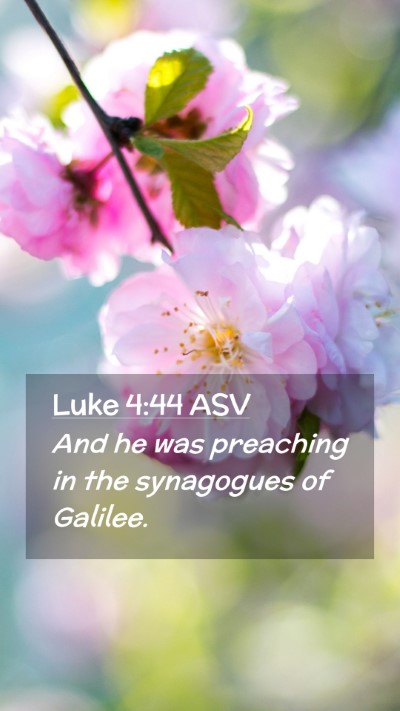 Picture 02 - Luke 4:44 ASV Mobile Phone Wallpaper - And he was preaching in the synagogues of - Mobile Bible Verse Wallpaper