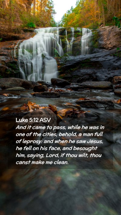 Picture 02 - Luke 5:12 ASV Mobile Phone Wallpaper - And it came to pass, while he was in one of the - Mobile Bible Verse Wallpaper