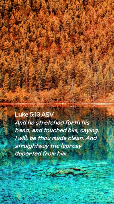 Picture 02 - Luke 5:13 ASV Mobile Phone Wallpaper - And he stretched forth his hand, and touched him, - Mobile Bible Verse Wallpaper