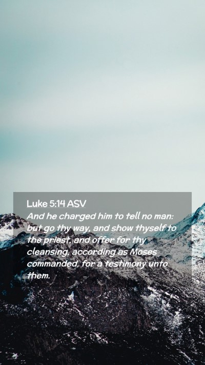 Picture 02 - Luke 5:14 ASV Mobile Phone Wallpaper - And he charged him to tell no man: but go thy - Mobile Bible Verse Wallpaper