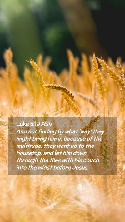 Picture 02 - Luke 5:19 ASV Mobile Phone Wallpaper - And not finding by what `way' they might bring - Mobile Bible Verse Wallpaper