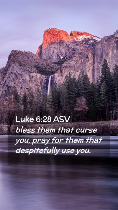 Picture 02 - Luke 6:28 ASV Mobile Phone Wallpaper - bless them that curse you, pray for them that - Mobile Bible Verse Wallpaper
