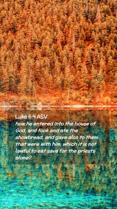 Picture 02 - Luke 6:4 ASV Mobile Phone Wallpaper - how he entered into the house of God, and took - Mobile Bible Verse Wallpaper