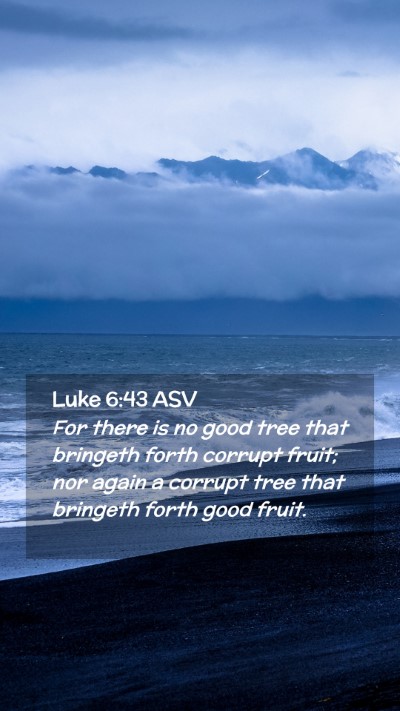 Picture 02 - Luke 6:43 ASV Mobile Phone Wallpaper - For there is no good tree that bringeth forth - Mobile Bible Verse Wallpaper