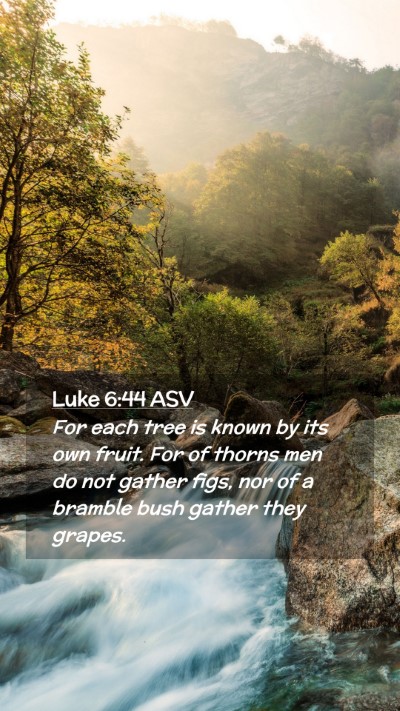 Picture 02 - Luke 6:44 ASV Mobile Phone Wallpaper - For each tree is known by its own fruit. For of - Mobile Bible Verse Wallpaper