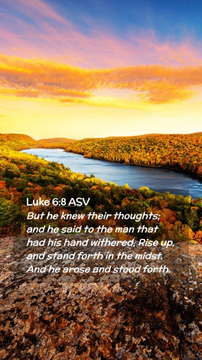 Picture 02 - Luke 6:8 ASV Mobile Phone Wallpaper - But he knew their thoughts; and he said to the - Mobile Bible Verse Wallpaper