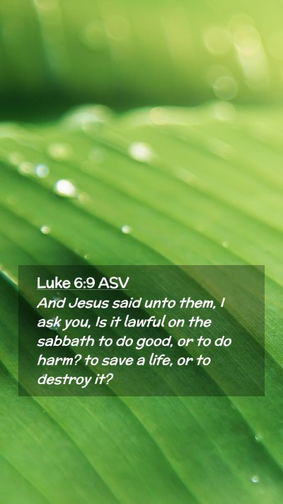 Picture 02 - Luke 6:9 ASV Mobile Phone Wallpaper - And Jesus said unto them, I ask you, Is it lawful - Mobile Bible Verse Wallpaper
