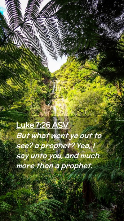 Picture 02 - Luke 7:26 ASV Mobile Phone Wallpaper - But what went ye out to see? a prophet? Yea, I - Mobile Bible Verse Wallpaper