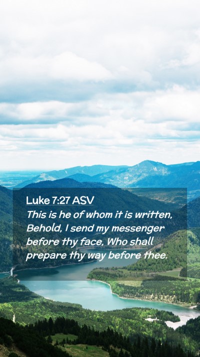 Picture 02 - Luke 7:27 ASV Mobile Phone Wallpaper - This is he of whom it is written, Behold, I send - Mobile Bible Verse Wallpaper