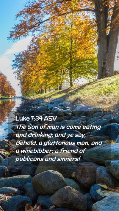 Picture 02 - Luke 7:34 ASV Mobile Phone Wallpaper - The Son of man is come eating and drinking; and - Mobile Bible Verse Wallpaper