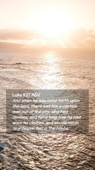 Picture 02 - Luke 8:27 ASV Mobile Phone Wallpaper - And when he was come forth upon the land, there - Mobile Bible Verse Wallpaper