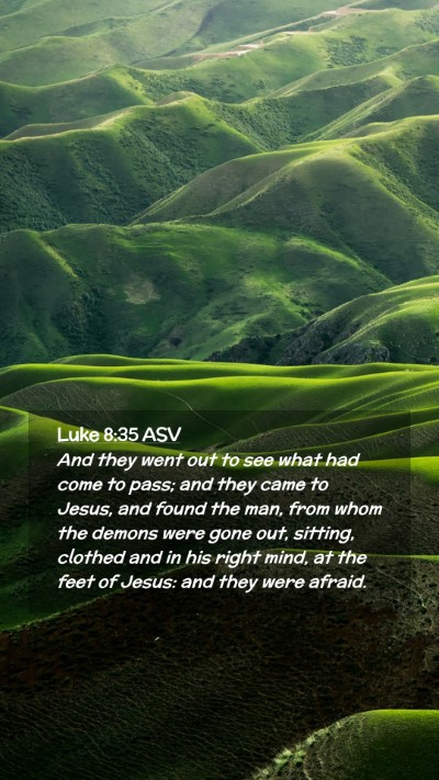 Picture 02 - Luke 8:35 ASV Mobile Phone Wallpaper - And they went out to see what had come to pass; - Mobile Bible Verse Wallpaper