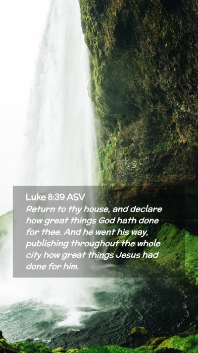Picture 02 - Luke 8:39 ASV Mobile Phone Wallpaper - Return to thy house, and declare how great things - Mobile Bible Verse Wallpaper