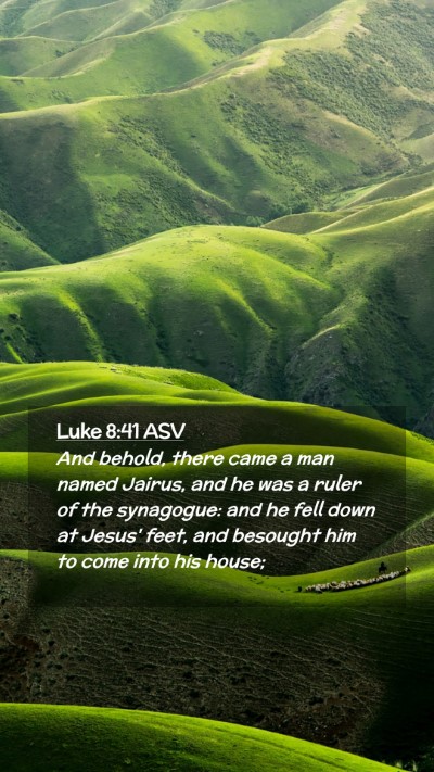 Picture 02 - Luke 8:41 ASV Mobile Phone Wallpaper - And behold, there came a man named Jairus, and he - Mobile Bible Verse Wallpaper