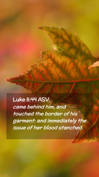 Picture 02 - Luke 8:44 ASV Mobile Phone Wallpaper - came behind him, and touched the border of his - Mobile Bible Verse Wallpaper
