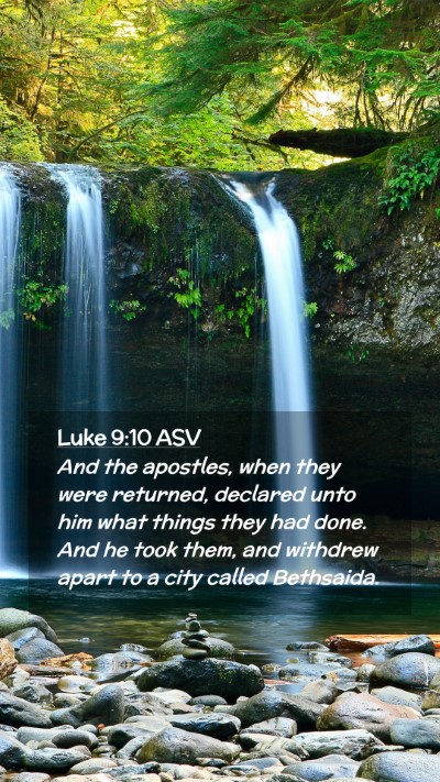 Picture 02 - Luke 9:10 ASV Mobile Phone Wallpaper - And the apostles, when they were returned, - Mobile Bible Verse Wallpaper