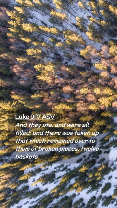 Picture 02 - Luke 9:17 ASV Mobile Phone Wallpaper - And they ate, and were all filled: and there was - Mobile Bible Verse Wallpaper