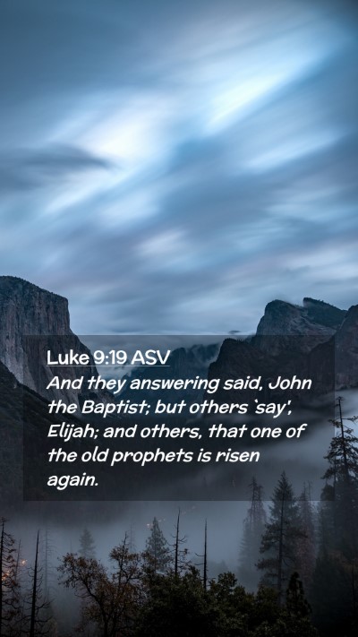 Picture 02 - Luke 9:19 ASV Mobile Phone Wallpaper - And they answering said, John the Baptist; but - Mobile Bible Verse Wallpaper