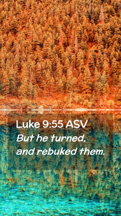 Picture 02 - Luke 9:55 ASV Mobile Phone Wallpaper - But he turned, and rebuked - Mobile Bible Verse Wallpaper