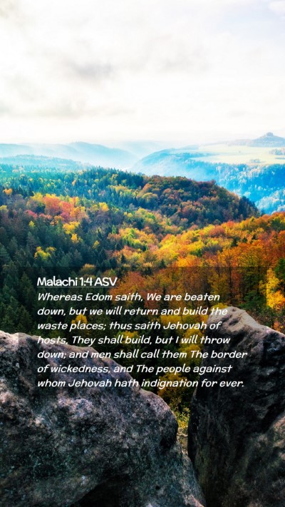 Picture 02 - Malachi 1:4 ASV Mobile Phone Wallpaper - Whereas Edom saith, We are beaten down, but we - Mobile Bible Verse Wallpaper