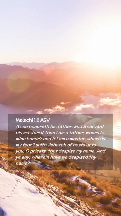 Picture 02 - Malachi 1:6 ASV Mobile Phone Wallpaper - A son honoreth his father, and a servant his - Mobile Bible Verse Wallpaper