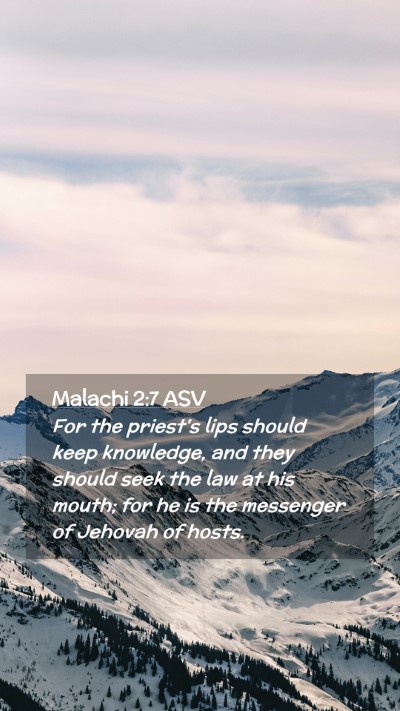 Picture 02 - Malachi 2:7 ASV Mobile Phone Wallpaper - For the priest's lips should keep knowledge, and - Mobile Bible Verse Wallpaper
