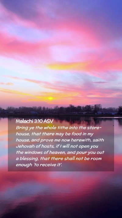 Picture 02 - Malachi 3:10 ASV Mobile Phone Wallpaper - Bring ye the whole tithe into the store-house, - Mobile Bible Verse Wallpaper