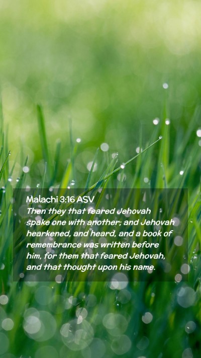 Picture 02 - Malachi 3:16 ASV Mobile Phone Wallpaper - Then they that feared Jehovah spake one with - Mobile Bible Verse Wallpaper