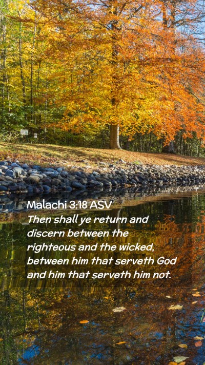 Picture 02 - Malachi 3:18 ASV Mobile Phone Wallpaper - Then shall ye return and discern between the - Mobile Bible Verse Wallpaper