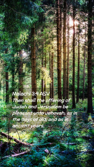 Picture 02 - Malachi 3:4 ASV Mobile Phone Wallpaper - Then shall the offering of Judah and Jerusalem be - Mobile Bible Verse Wallpaper