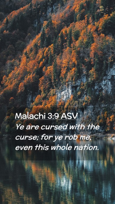 Picture 02 - Malachi 3:9 ASV Mobile Phone Wallpaper - Ye are cursed with the curse; for ye rob me, even - Mobile Bible Verse Wallpaper