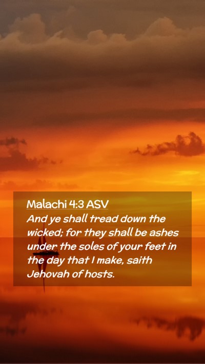 Picture 02 - Malachi 4:3 ASV Mobile Phone Wallpaper - And ye shall tread down the wicked; for they - Mobile Bible Verse Wallpaper