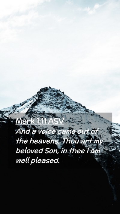 Picture 02 - Mark 1:11 ASV Mobile Phone Wallpaper - And a voice came out of the heavens, Thou art my - Mobile Bible Verse Wallpaper