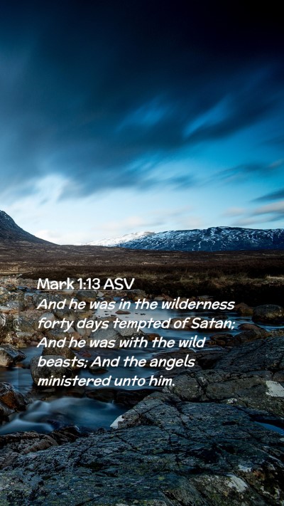 Picture 02 - Mark 1:13 ASV Mobile Phone Wallpaper - And he was in the wilderness forty days tempted - Mobile Bible Verse Wallpaper